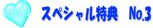 スペシャル特典　No.3