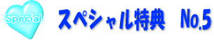 スペシャル特典　No.5
